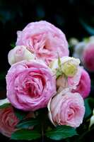 https://images.plurk.com/3ej3RhvKthC2Pg9nzEMvvP.jpg