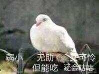 https://images.plurk.com/3ekOLOoTurrncv8BpHfOfp.jpg