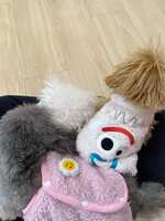 https://images.plurk.com/3ezk2sgpwWsc2BtLlTFTVx.jpg