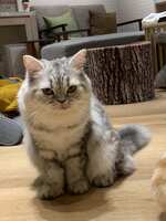 https://images.plurk.com/3f12jXRhyyGJbBz2s8FNRB.jpg