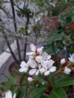 https://images.plurk.com/3f1mQL77lQi87UmVB4kHl5.jpg