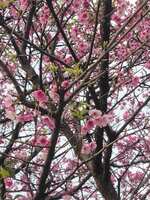 https://images.plurk.com/3fGF7c7cvjh1cEHJLYZjfx.jpg