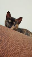 https://images.plurk.com/3fOVuSYUrFXCTOQ9IoLDpi.jpg