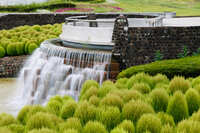 https://images.plurk.com/3fTGSvrpjRBTXBJIUFYwn7.jpg