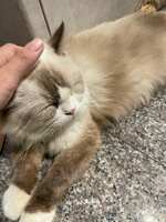 https://images.plurk.com/3fgIDYEQQJzmHoOpZ15ACc.jpg