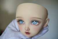 https://images.plurk.com/3fgwRbyEviHLohmrEKPu1w.png