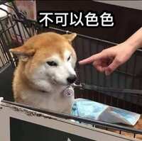 https://images.plurk.com/3fh8GhW2PDrbsZIzkAP9xl.jpg
