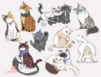 https://images.plurk.com/3fsNfkSDTnySVK5GNtlrkY.png