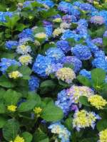https://images.plurk.com/3fyzu9QEFH967XidP98c6k.jpg