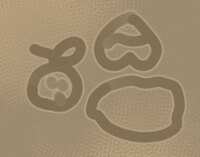 https://images.plurk.com/3gCF6Z2h4205frLJjbUqTL.png