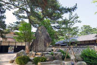 https://images.plurk.com/3gIkrRVYGQKRenT2QVdsWQ.jpg