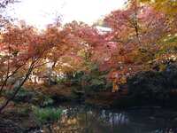 https://images.plurk.com/3ghbf8nVl9PuzfDBvUs2fH.jpg