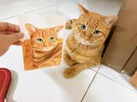 https://images.plurk.com/3gjF3k1bTwUaCH7sbKWMFY.jpg