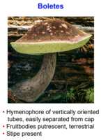 https://images.plurk.com/3gjOTmCjQTLNYvUivnYiGP.png