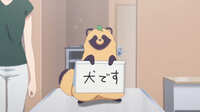 https://images.plurk.com/3guJtebVMcNJnF05V0Mze8.jpg