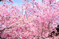 https://images.plurk.com/3gwt1UemHI99b06Kjjpc5P.jpg