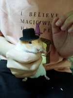 https://images.plurk.com/3h3awqay2ll8gM0APVaM4y.jpg