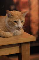 https://images.plurk.com/3h41B9TK0CDoMvmNw72f4m.jpg