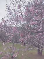 https://images.plurk.com/3hB2sh1egGUzbh65Q7RfRE.jpg