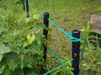 https://images.plurk.com/3hD1CLXEtMIywqJ5MPkWVo.jpg