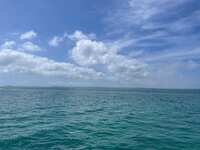 https://images.plurk.com/3hG7aD2BkUfDCtQsyFCouE.jpg