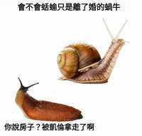 https://images.plurk.com/3hGaHI6NU87cQfIsgglzGO.jpg