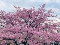 https://images.plurk.com/3hH76jk3mUCNH0oXGbDkiR.jpg