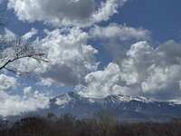 https://images.plurk.com/3hJ4FGvnjMEbAzA6JEZPZa.jpg