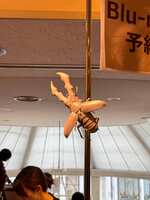 https://images.plurk.com/3hKJB1nBT99QzPaBSpSUYo.jpg