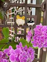https://images.plurk.com/3hKmi8oHD80nbNBxHxHiY.jpg