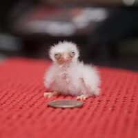 https://images.plurk.com/3hRFzWjz00yqOwlJL8c0fz.jpg