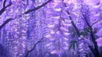 https://images.plurk.com/3hawEqWlg28lgCTD9usP7e.png