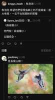 https://images.plurk.com/3hgFf5EwSBXcrNYdMZH9Jw.jpg