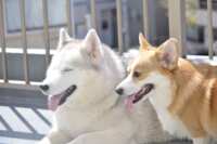 https://images.plurk.com/3hmsZst0AfifXgb5VeqfXJ.png