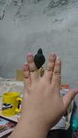 https://images.plurk.com/3hrGyJl8Q4JxGL4kRZk3qQ.jpg