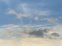 https://images.plurk.com/3hsjaJGBYQ68wo4VZSTb9V.jpg