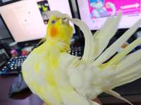 https://images.plurk.com/3huNX4AKghOzyU24idXbST.jpg