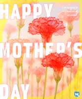 https://images.plurk.com/3i6xVvm2hzZQXhCaAUV0y7.png