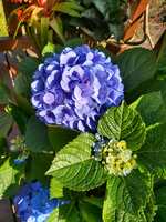 https://images.plurk.com/3iCQBRm0zjbc0ctOjJFzpH.jpg