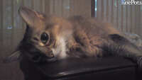 https://images.plurk.com/3iCaZsKPduQop0taOV048k.jpg