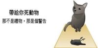 https://images.plurk.com/3iDOSlLYvPt3i1ghgSgjY7.png