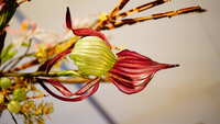 https://images.plurk.com/3iFRAEdois05JkcmKtmFNn.jpg