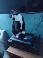 https://images.plurk.com/3iGwWpU7CL6uihN594GrX1.jpg