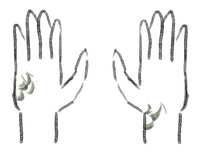 https://images.plurk.com/3iIhU2Xfd9UuCQ8MhsYDBd.jpg