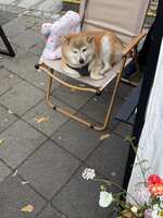 https://images.plurk.com/3iSLnKETtDsKOUnZISfaT9.jpg