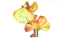 https://images.plurk.com/3iatUYBNVFSZ7uVJM4jSmq.jpg