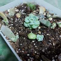 https://images.plurk.com/3idyAIzM6SJX4eUEUUXh29.jpg