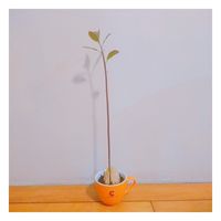 https://images.plurk.com/3ijXytM8tSRTQi9abroX85.jpg