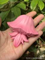https://images.plurk.com/3imADvyEsMg1cuYBy82TZ.jpg
