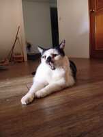 https://images.plurk.com/3isFUjfcDqOuwVWMeCRWuZ.jpg